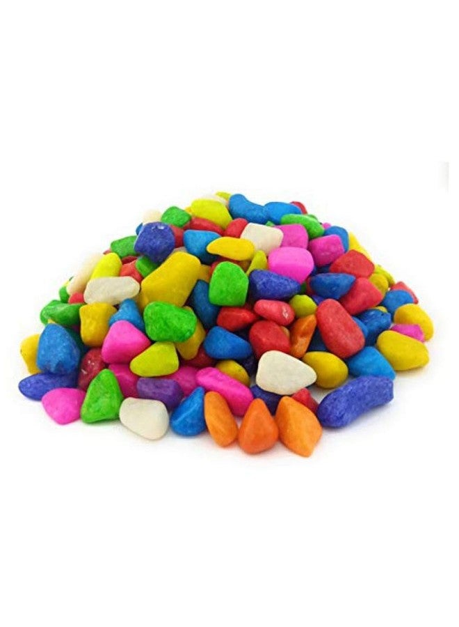 Somil Multicolor Pebbles/Stones for Garden, Plants, Lawns, Aquariums, Fish Pots, Home Decor, Vases, Furniture Filler. Size: 10-30mm, Shiny Multicolor -A545 - Image 3